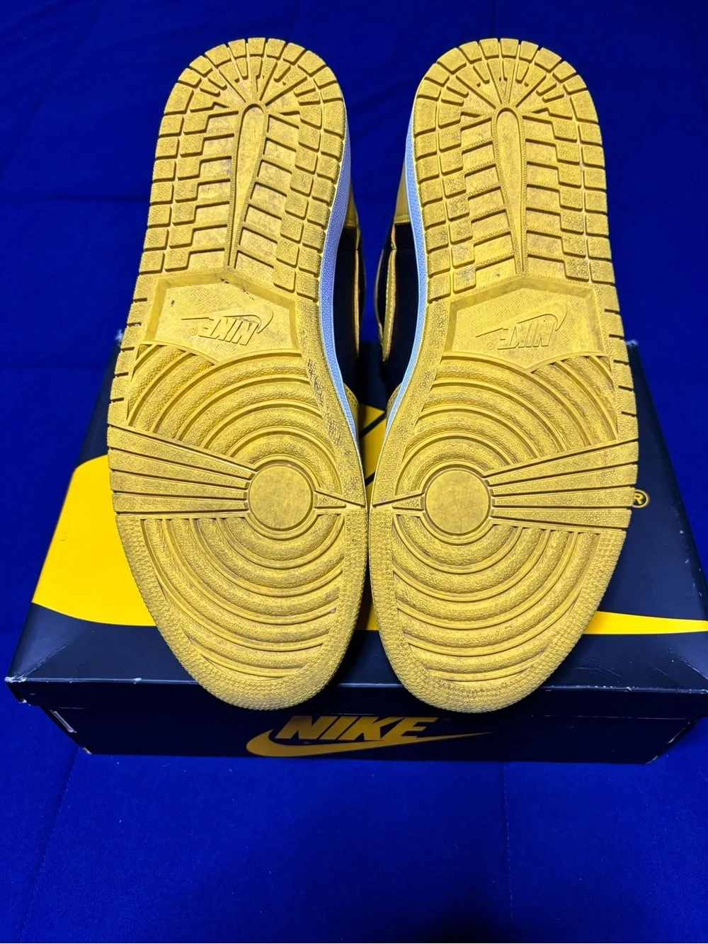 Jordan 1 Retro High OG Pollen 2021 Size 11.5